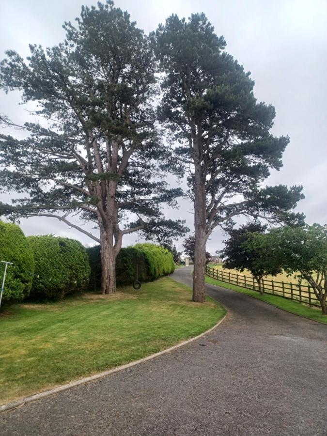 Loughview Retreat In The Mournes Apartment Нюкасъл Екстериор снимка